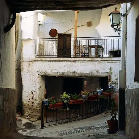 Castano Real * Atalbeitar