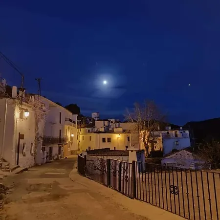 Castano Real *